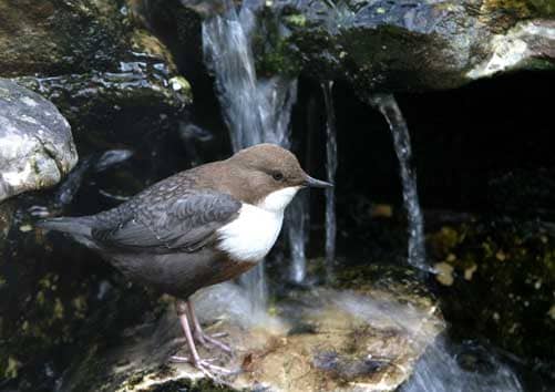 Alpenzoo Innsbruck